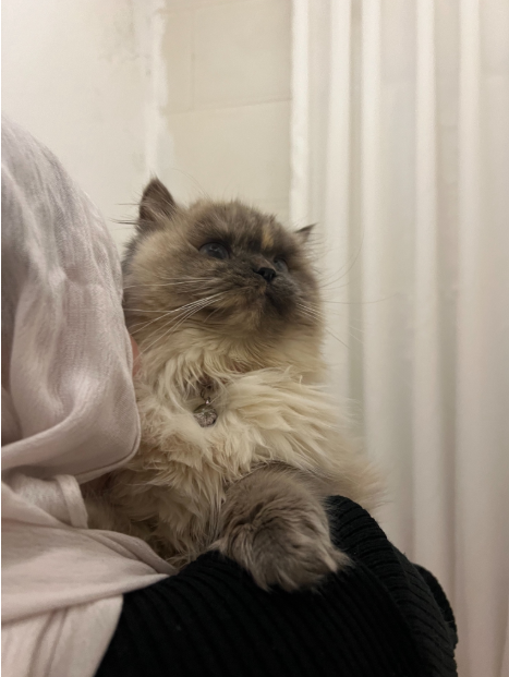 Instagram profile picture